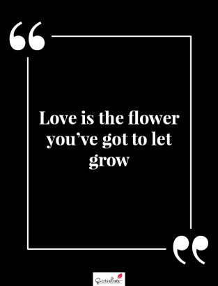 Motivation Quote : Love is the flower you've got to let grow ...