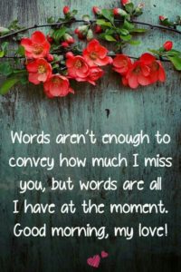 Good Morning My Love Quote
