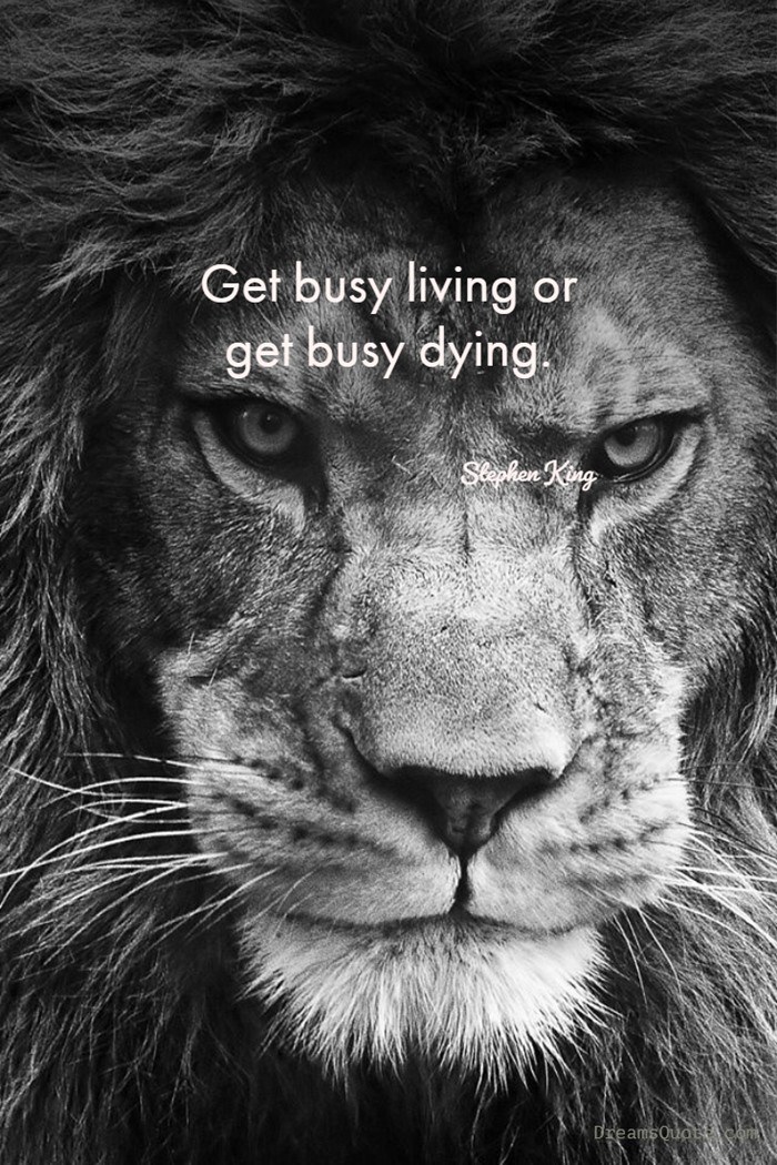79 Inspirational Quotes That Will Change You Forever64