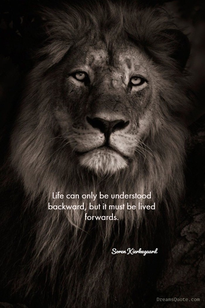 79 Inspirational Quotes That Will Change You Forever66