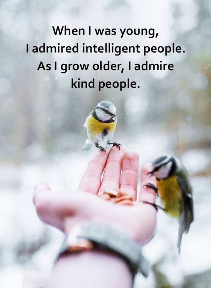79 Inspirational Quotes That Will Change You Forever 14