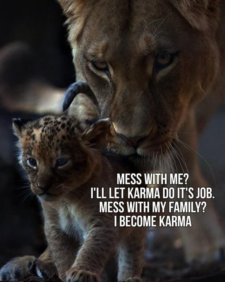 Ultimate 36 Motivational Words of Wisdom Quotes for Success Life 5