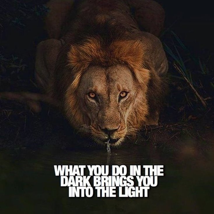 Ultimate 36 Motivational Words of Wisdom Quotes for Success Life 6