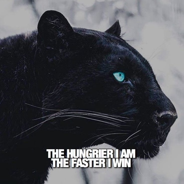 Ultimate 36 Motivational Words of Wisdom Quotes for Success Life 16