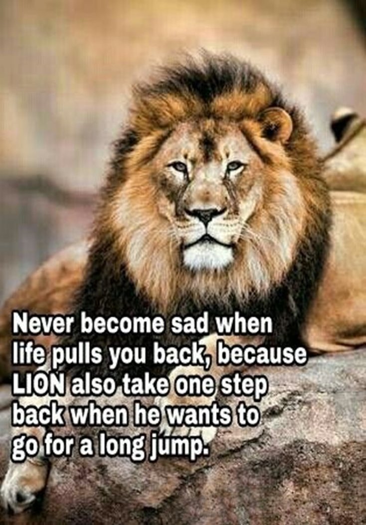 Ultimate 36 Motivational Words of Wisdom Quotes for Success Life 28