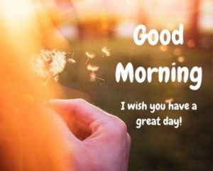 Collection : Positive and Inspiring Good Morning Wishes with Images ...