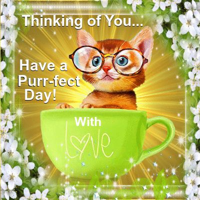 have a great day images and quotes