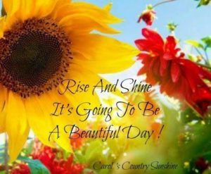 Have a great day quotes facebook