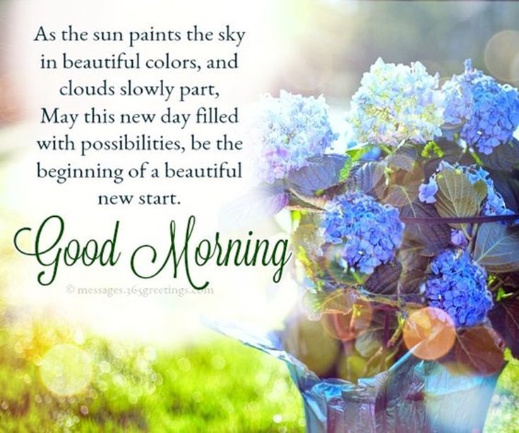 Collection 56 Good Morning Quotes And Wishes With Beautiful