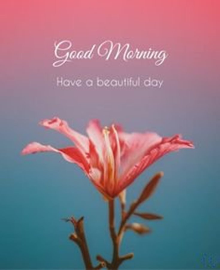 56 Good Morning Quotes and Wishes with Beautiful Images 39