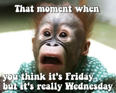 Hu.mp day meme work