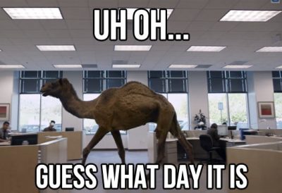 Hump Day Camel Meme