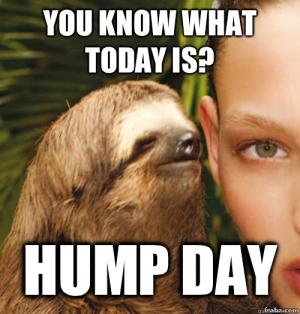 Hump day meme clean