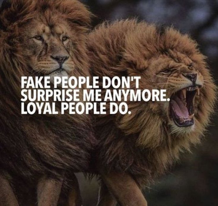 67 Top Quotes Inspirational for Success That will Inspire You Extremely 3 67 Top Quotes Inspirational for Success That will Inspire You Extremely 3