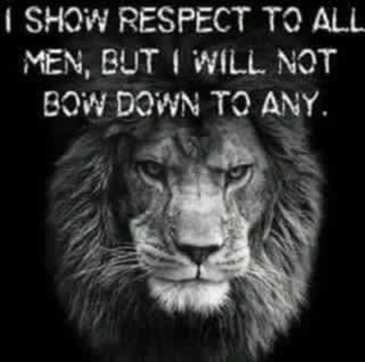 67 Top Quotes Inspirational for Success That will Inspire You Extremely 9 67 Top Quotes Inspirational for Success That will Inspire You Extremely 9