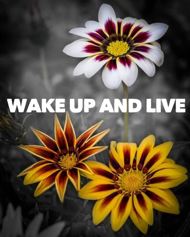 50 Life Quotes Thatll Motivate You to Take That Next Step 35 50 Life Quotes Thatll Motivate You to Take That Next Step 35