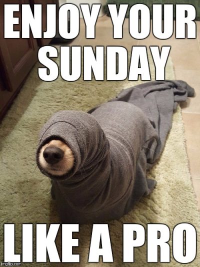 Collection : 80 Best Sunday Memes, Pics and Images for Funny Fundays ...