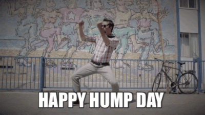 Hump Day Meme Funny
