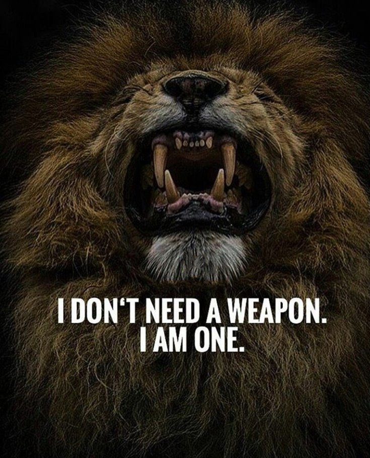 67 Top Quotes Inspirational for Success That will Inspire You Extremely 1 67 Top Quotes Inspirational for Success That will Inspire You Extremely 1