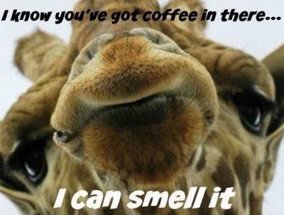 Collection Wednesday Coffee Memes Images Pics To Get Through The Week Quoteslists Com