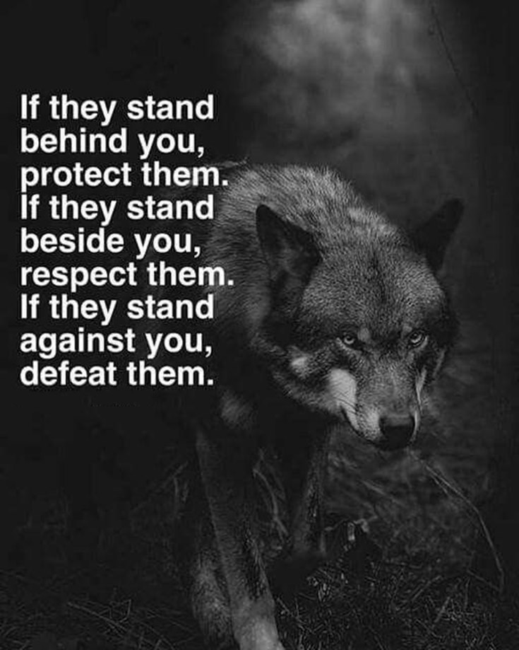 56 Inspirational Quotes About Strength and Perseverance Quotes About Change 24