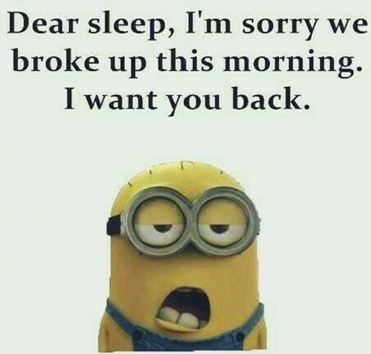 Best 45 Very Funny Minions Quotes of the Week 14
