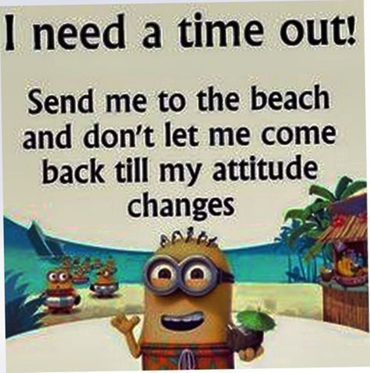 Best 45 Very Funny Minions Quotes of the Week 12