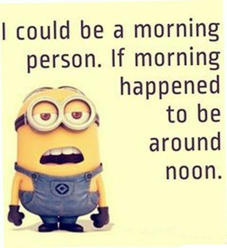 Best 45 Very Funny Minions Quotes of the Week 9