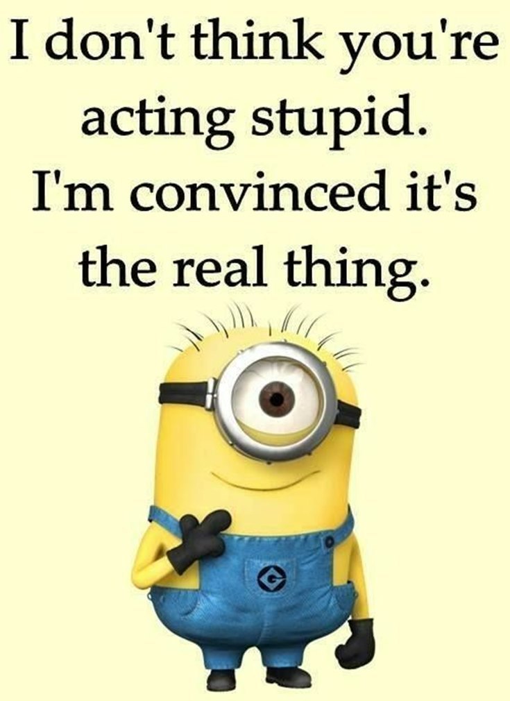 Collection : Best 45 Very Funny Minions Quotes of the Week ...