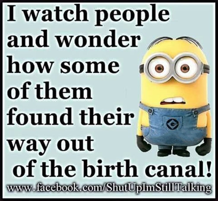 Collection Best 45 Very Funny Minions Quotes Of The Week