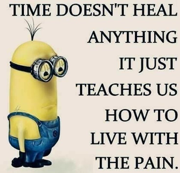Best 45 Very Funny Minions Quotes of the Week 33