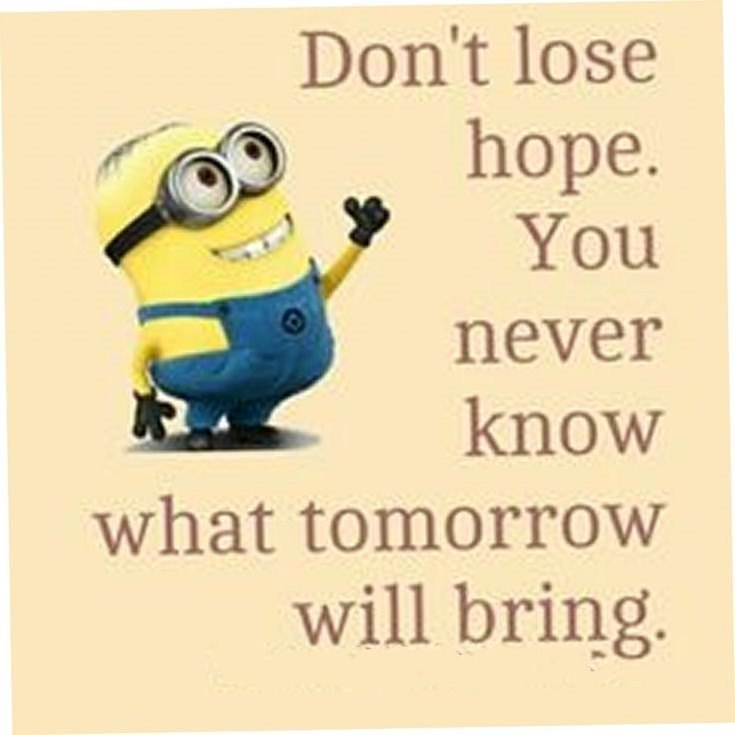 Best 45 Very Funny Minions Quotes of the Week 35
