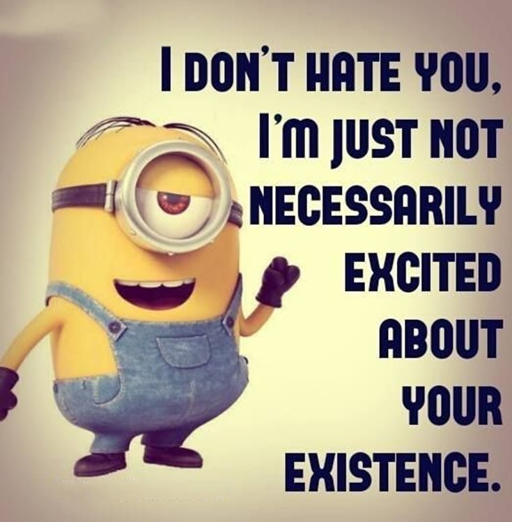 Best 45 Very Funny Minions Quotes of the Week 32