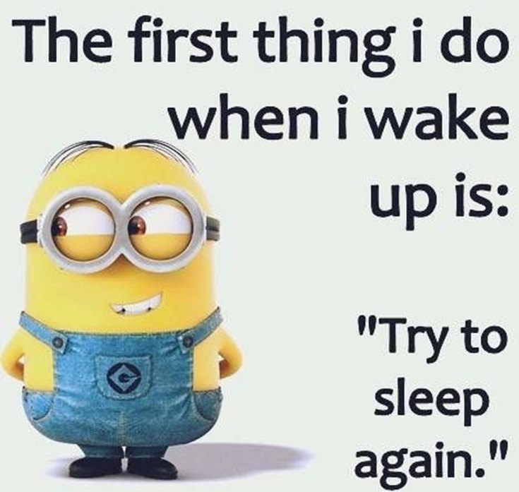 Best 45 Very Funny Minions Quotes of the Week 39