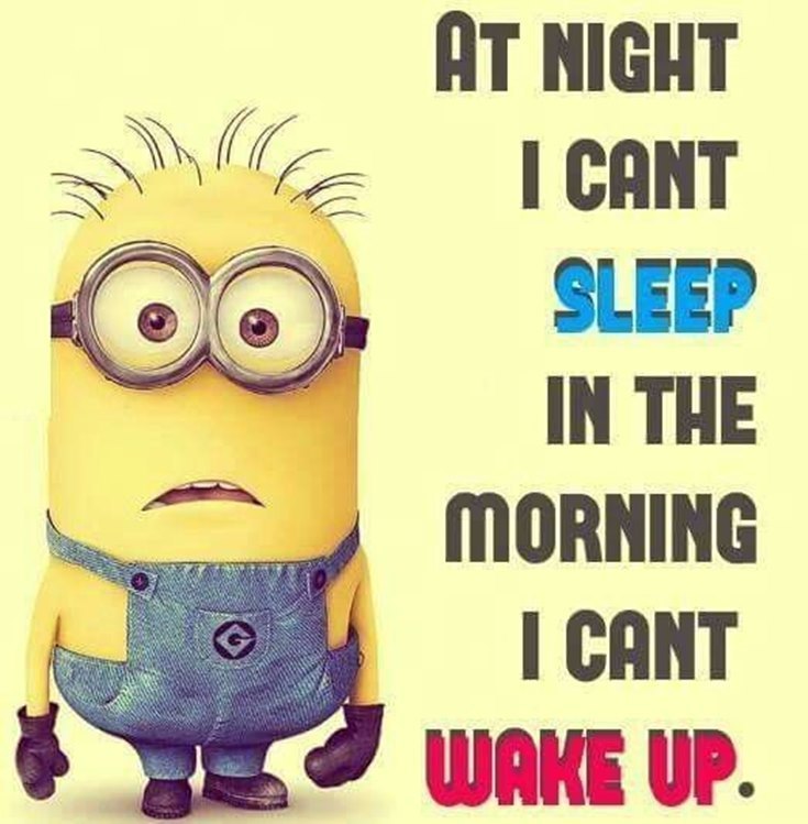Best 45 Very Funny Minions Quotes of the Week 37