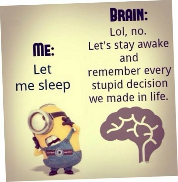Best 45 Very Funny Minions Quotes of the Week 38