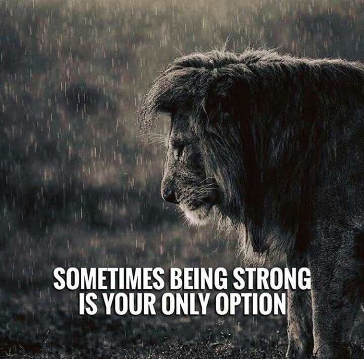 Collection : 56 Inspirational Quotes About Strength and Perseverance ...