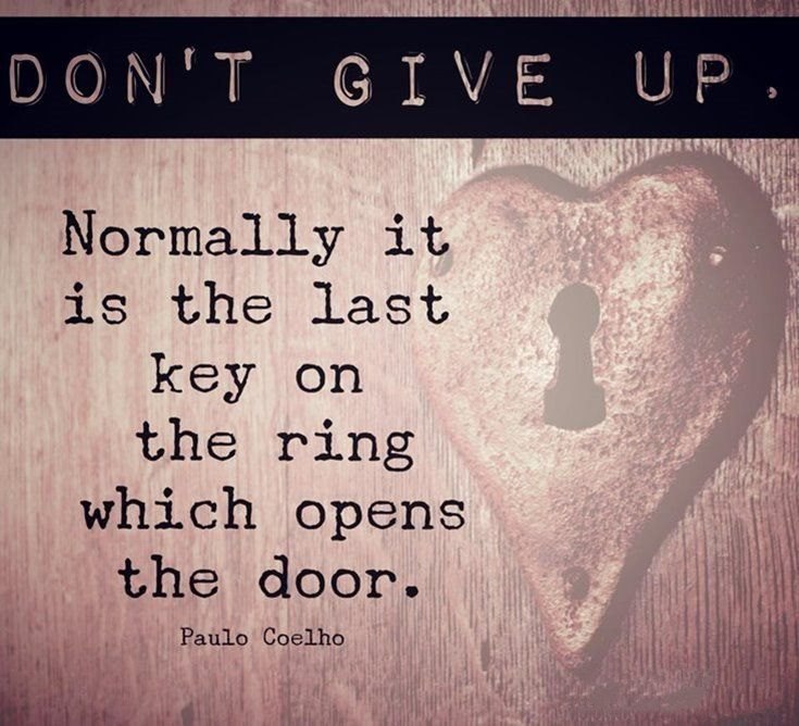 57 Never Give Up Quotes About Life And Happiness Precocious Spartan 16