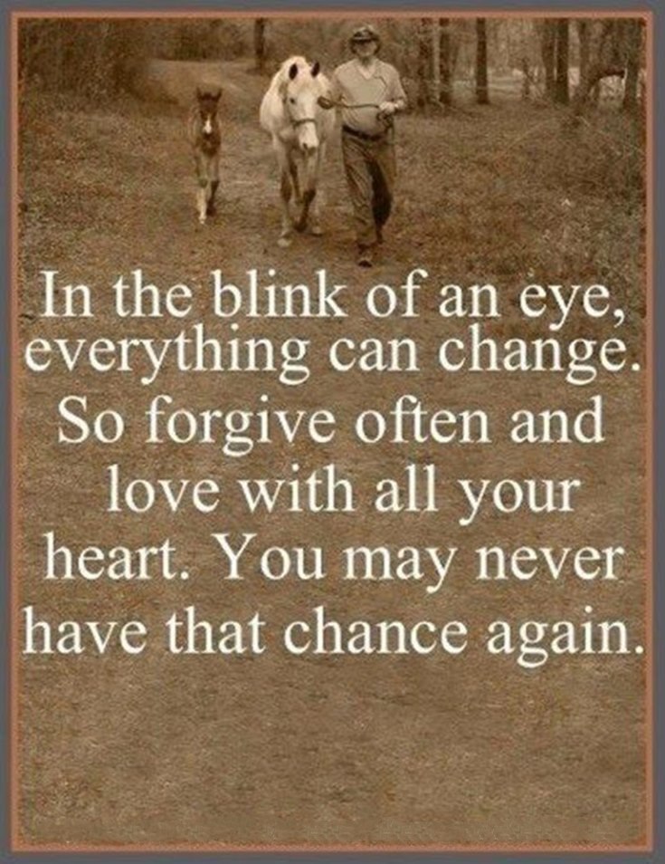 70 Forgiveness Quotes to Inspire Us to Let Go 25