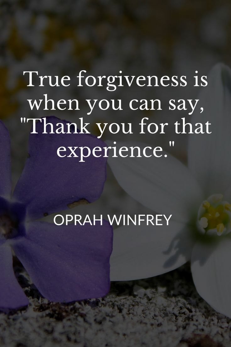 70 Forgiveness Quotes to Inspire Us to Let Go 34