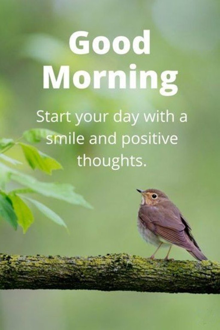 collection-57-of-the-good-morning-quotes-and-images-positive-energy