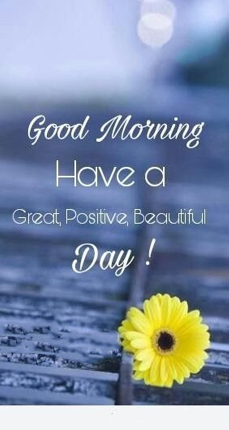 Positive Good Morning Quotes - Homecare24
