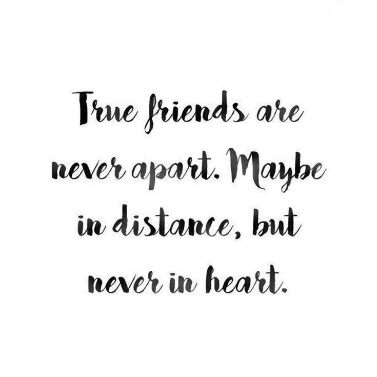 59 True Friendship Quotes Best Friends Forever Quotes 9