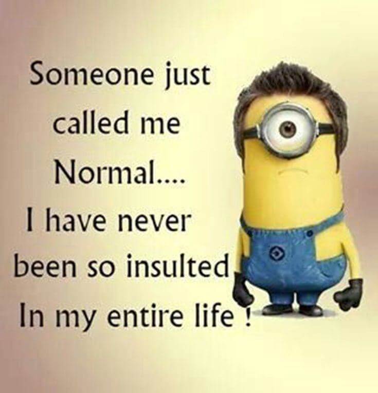 38 Funny Quotes Minions And Minions Quotes Images 23