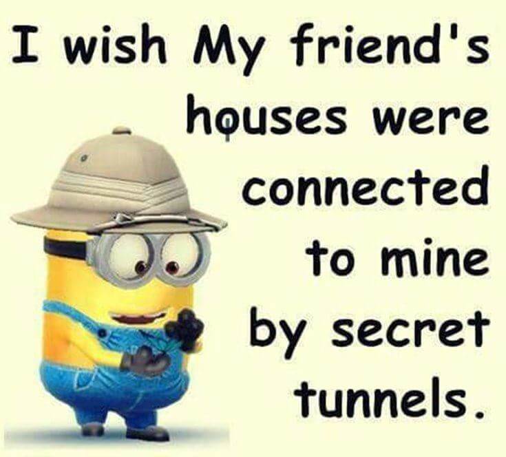 38 Funny Quotes Minions And Minions Quotes Images 38