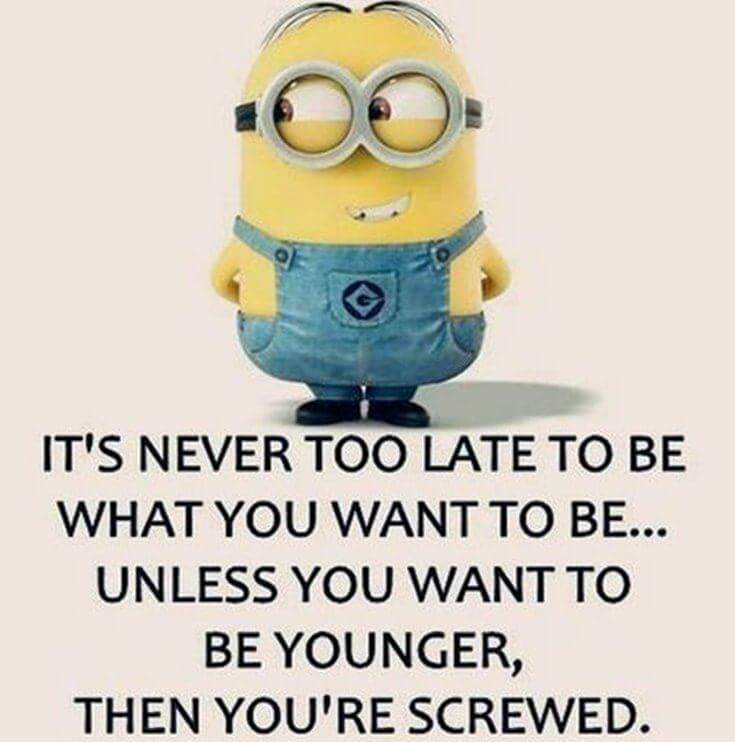 38 Funny Quotes Minions And Minions Quotes Images 10