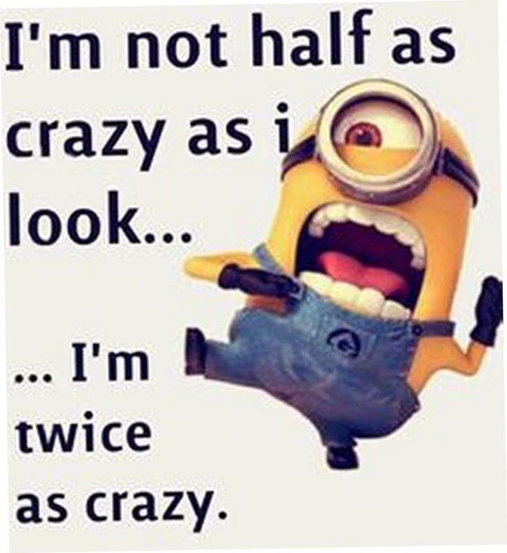 38 Funny Quotes Minions And Minions Quotes Images 29