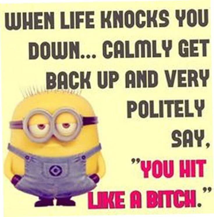 38 Funny Quotes Minions And Minions Quotes Images 7