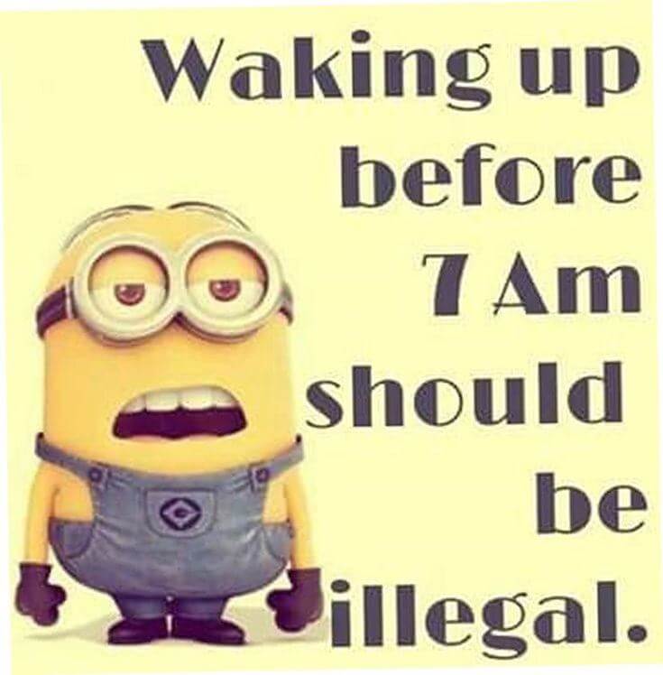 38 Funny Quotes Minions And Minions Quotes Images 35