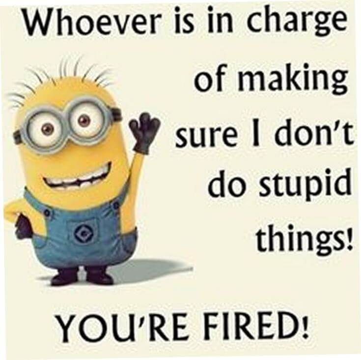38 Funny Quotes Minions And Minions Quotes Images 25